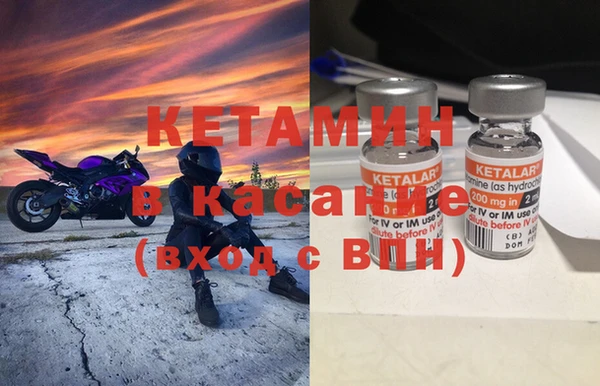 сатива Сатка