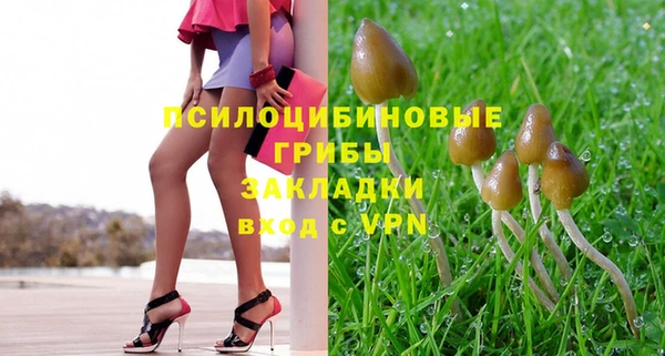 дмт Алексеевка