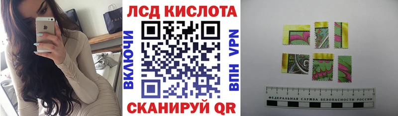 где купить Дно Марки 25I-NBOMe 1500мкг
