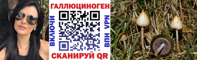 Галлюциногенные грибы мухоморы  Дно 