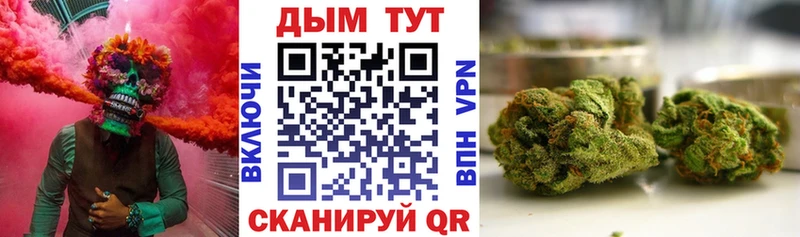 ссылка на мегу ССЫЛКА  Дно  Бошки Шишки конопля  купить наркотики цена 